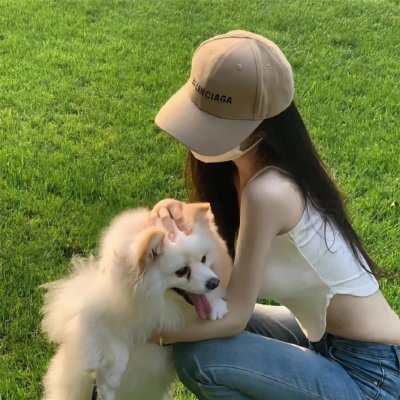 胡同猫