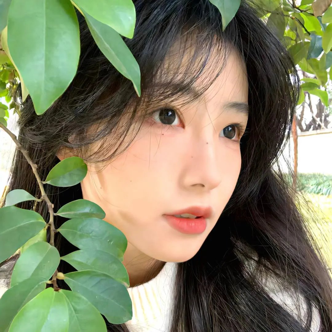 阿莱蒂公主